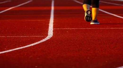 Top Walking Track Construction Companies in India
