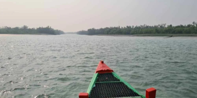 Explore the Wilderness with an Unforgettable Sundarban Trip