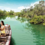 sundarban trip