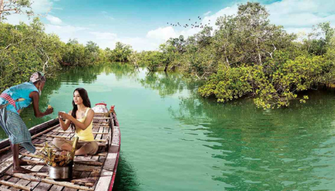 Sundarban Trip: Explore the Mystical Mangroves of India