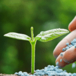 chelated fertilizers