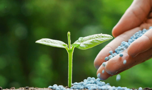 Sustainable Agriculture Through Smart Chelated Fertilizer Formulations