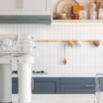 whole-home RO rentals